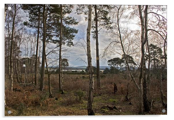 Tranquil Arne  Acrylic by Mike Crew