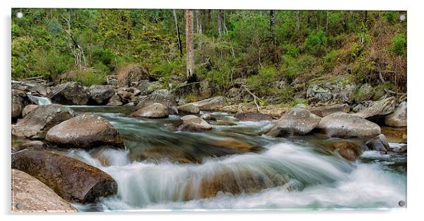 Rocks & Rapids Acrylic by Mark Lucey