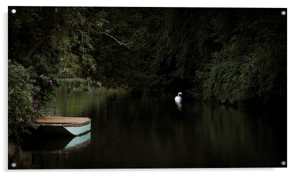 River scene Acrylic by Tristan Morphew
