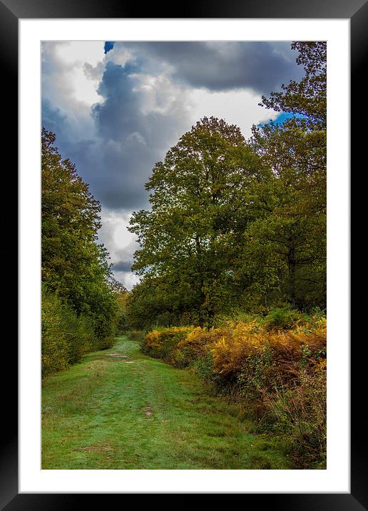 Autumn colours Framed Mounted Print by Thanet Photos