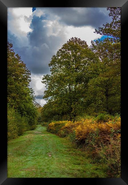 Autumn colours Framed Print by Thanet Photos