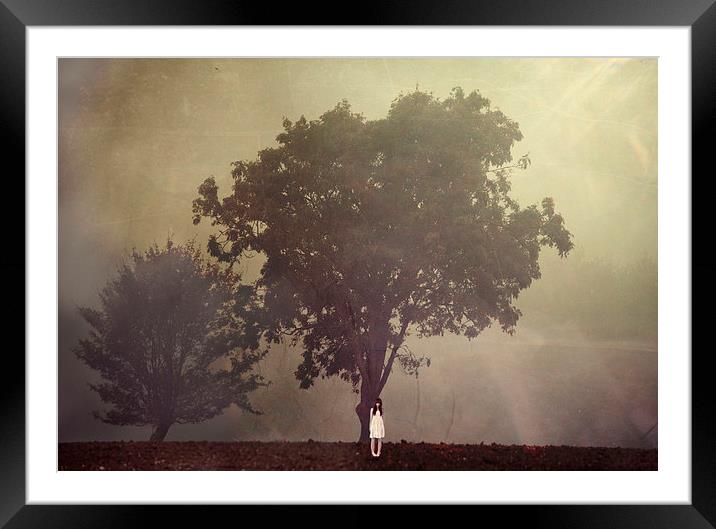 Waiting by the Tree Framed Mounted Print by Dawn Cox