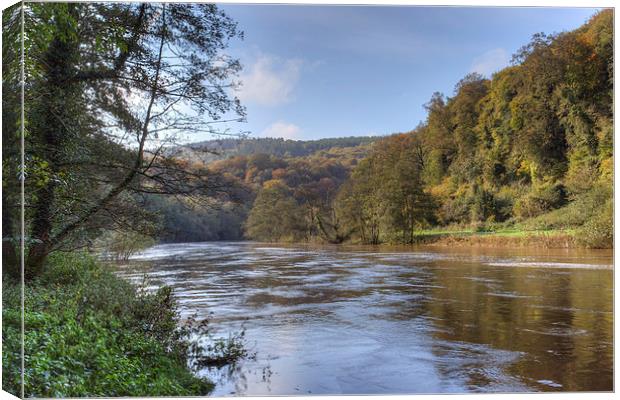 Along the Wye Canvas Print by David Tinsley