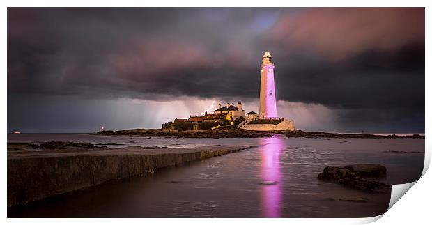 Flash of Pink Print by Paul Appleby