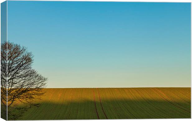 Land and Sky Canvas Print by Gary Finnigan