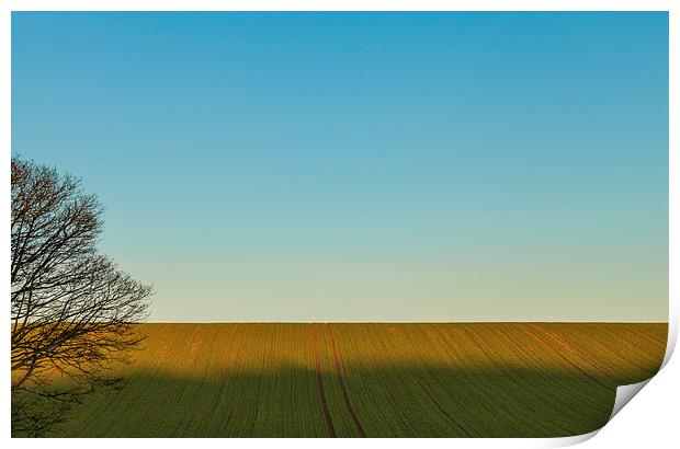 Land and Sky Print by Gary Finnigan