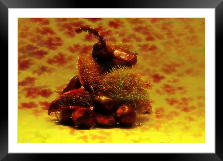 autumn Framed Mounted Print by Doug McRae