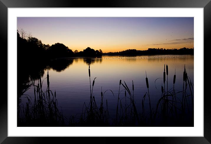 Lake Sunrise Framed Mounted Print by Darren Burroughs