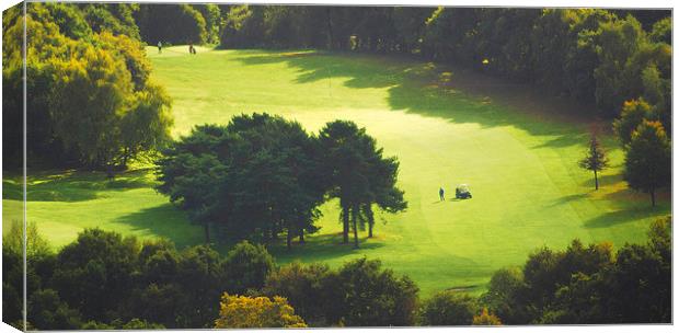 GOLF LIGHT AND SHADE Canvas Print by Clive Eariss