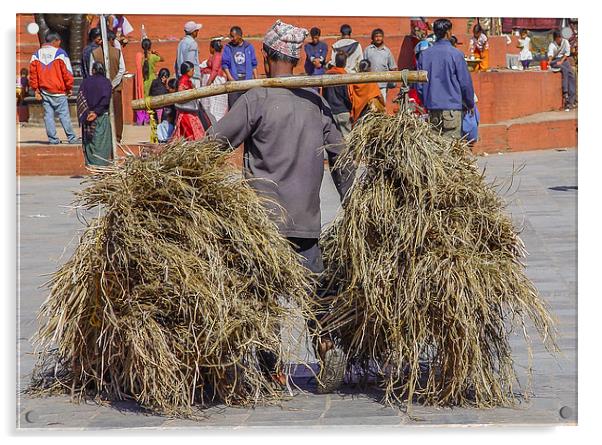 Carrying hay in Kathmandu Acrylic by colin chalkley