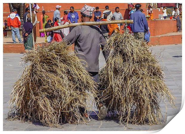 Carrying hay in Kathmandu Print by colin chalkley
