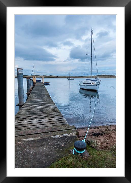 Tethered Framed Mounted Print by Gary Finnigan