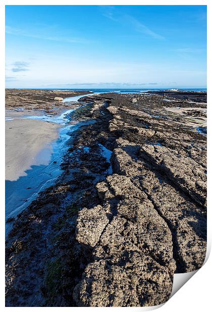 Rocky beach Print by Gary Finnigan