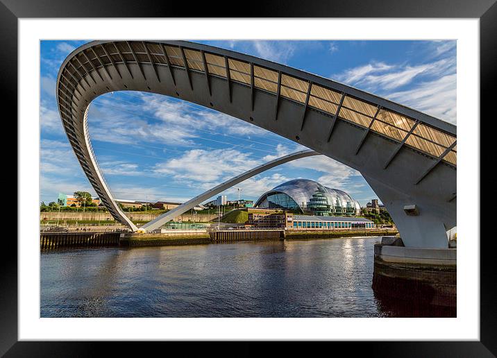 The Underbelly Framed Mounted Print by Gary Finnigan