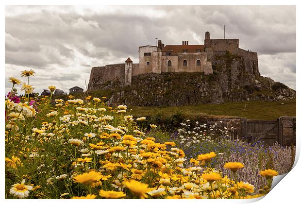 Lindisfarne Castle on Holy Island Print by Thomas Schaeffer