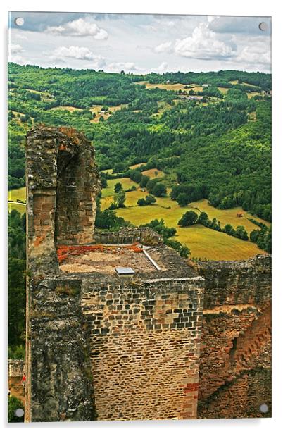 Chateau de Najac 2 Acrylic by Mike Crew