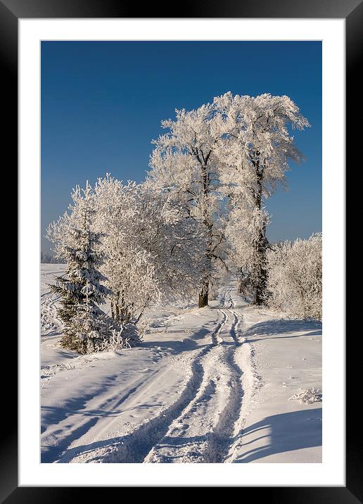 Winter arrived Framed Mounted Print by Robert Parma