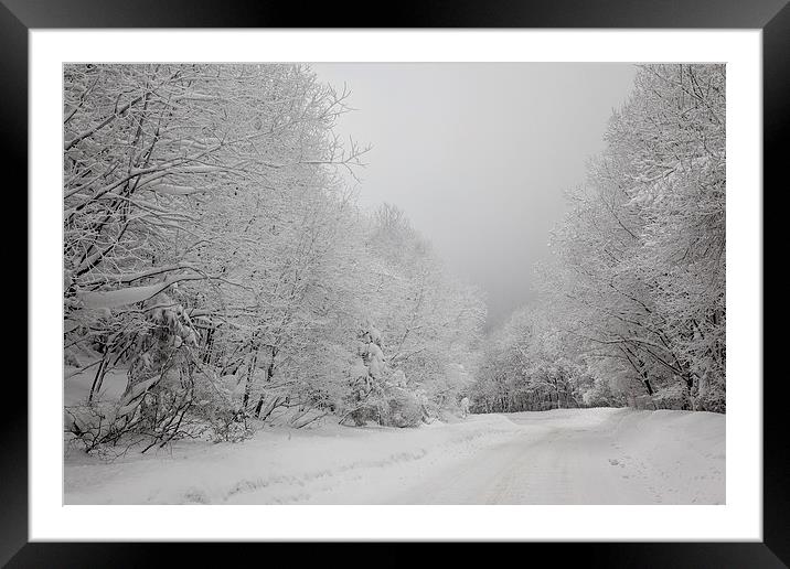 Mist & snow Framed Mounted Print by Robert Parma