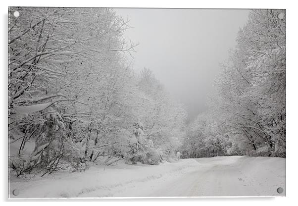 Mist & snow Acrylic by Robert Parma