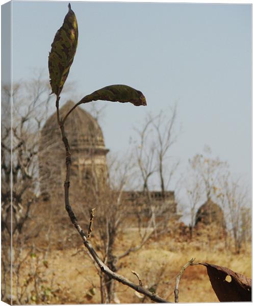 in ruins Canvas Print by anurag gupta