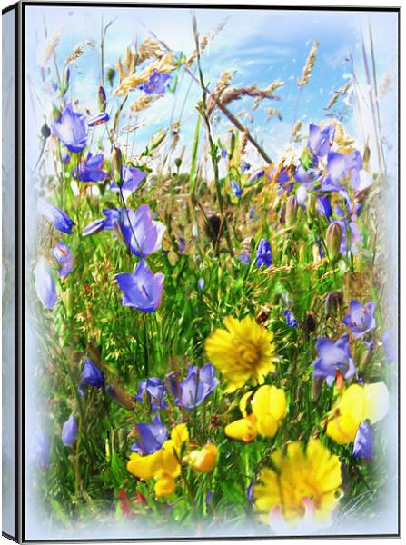 The Meadow Canvas Print by Vivienne Barker