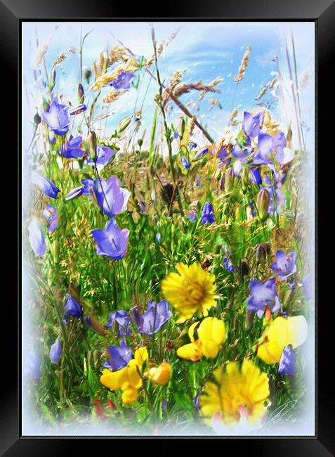 The Meadow Framed Print by Vivienne Barker