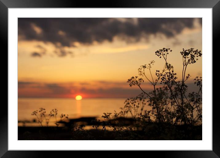 sunset Framed Mounted Print by jane dickie