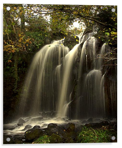 Waterfall in the Autumn Acrylic by Peter Mclardy