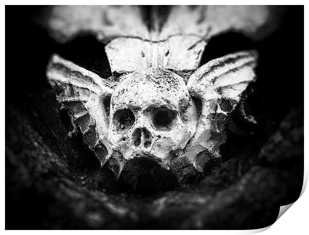 Skull Sculpture Print by Fraser Hetherington