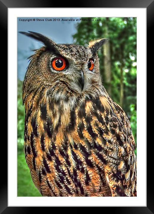 Long Eared Owl Framed Mounted Print by Steve H Clark