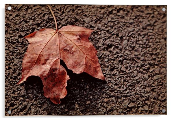 Autumn leave Acrylic by Nadeesha Jayamanne