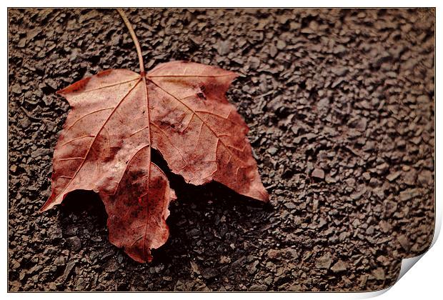 Autumn leave Print by Nadeesha Jayamanne