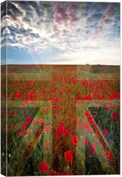 Poppy Field Canvas Print by Graham Custance