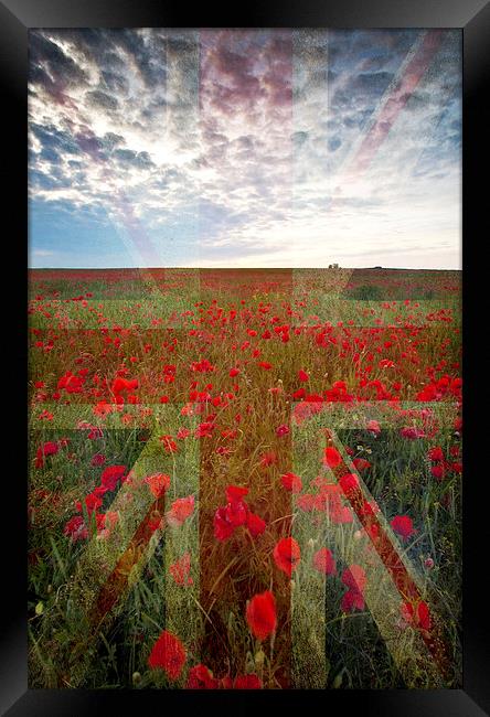 Poppy Field Framed Print by Graham Custance