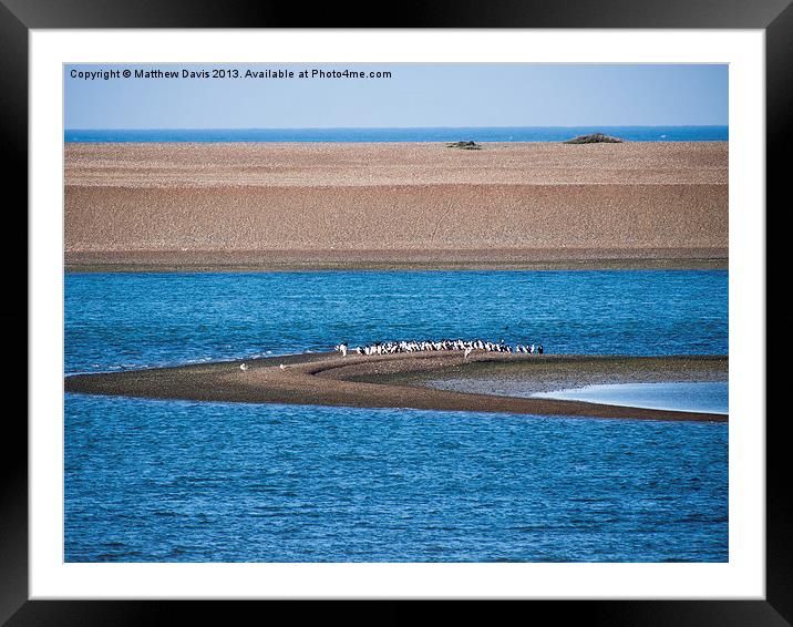 Break Time Framed Mounted Print by Matthew Davis