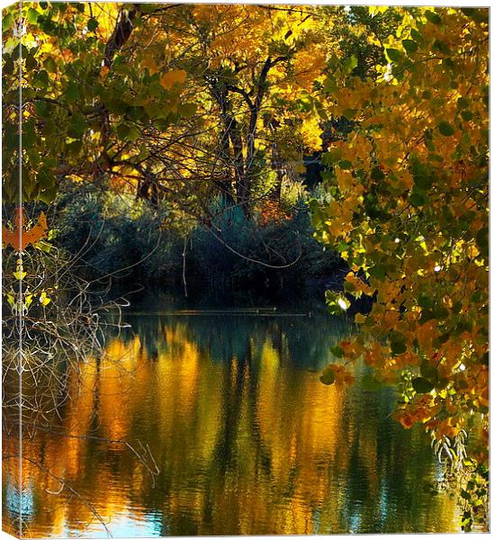 Lake in Fall Reflections Canvas Print by Patti Barrett