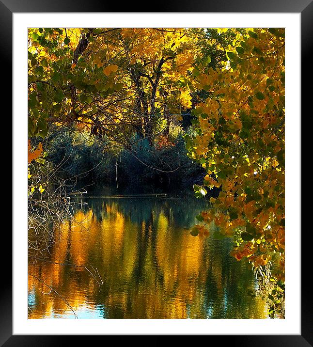 Lake in Fall Reflections Framed Mounted Print by Patti Barrett