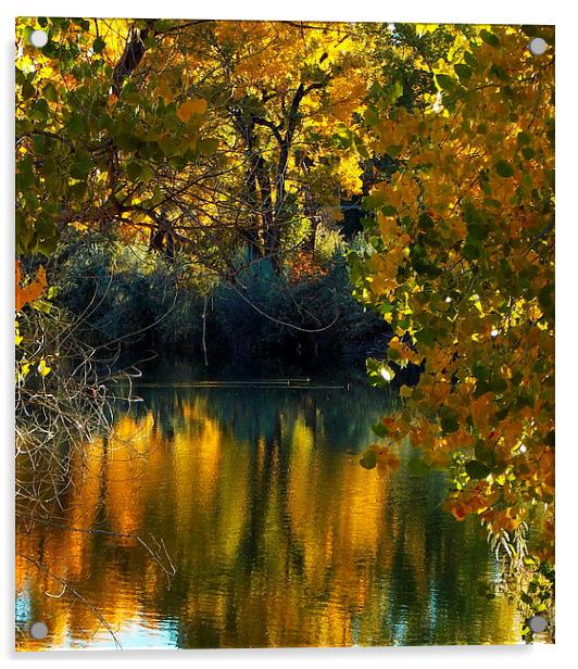 Lake in Fall Reflections Acrylic by Patti Barrett