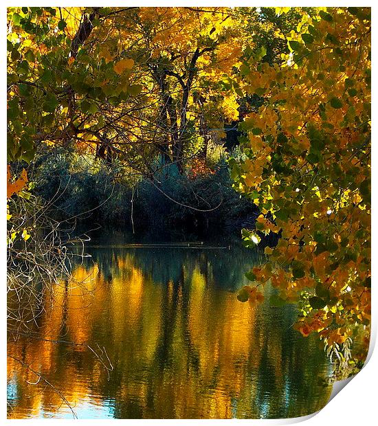 Lake in Fall Reflections Print by Patti Barrett