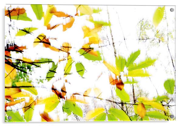 Leaves Splash Abstract 2 Acrylic by Natalie Kinnear