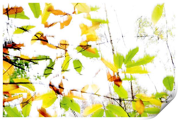Leaves Splash Abstract 2 Print by Natalie Kinnear