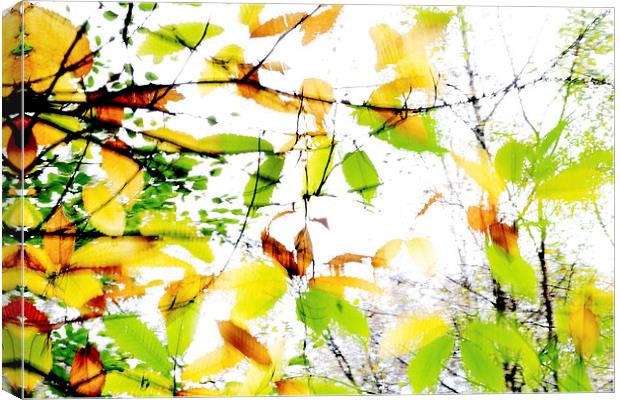 Leaves Splash Abstract 1 Canvas Print by Natalie Kinnear