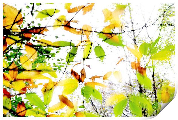 Leaves Splash Abstract 1 Print by Natalie Kinnear