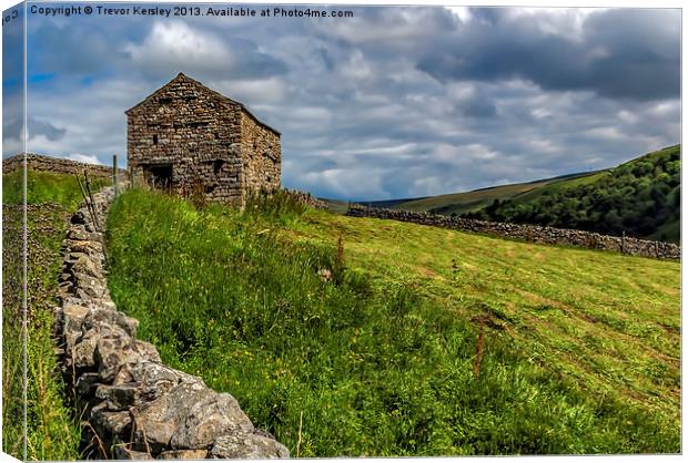 Swaledale Stone Barn Canvas Print by Trevor Kersley RIP