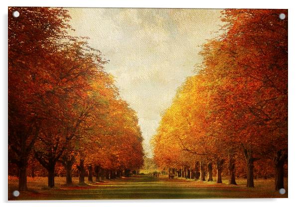 Autumn Avenue Acrylic by Lesley Mohamad