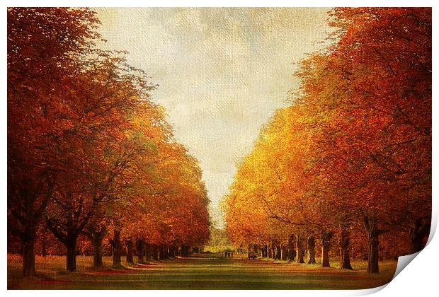 Autumn Avenue Print by Lesley Mohamad