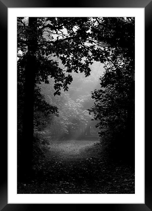 Darkness Framed Mounted Print by Michelle Orai