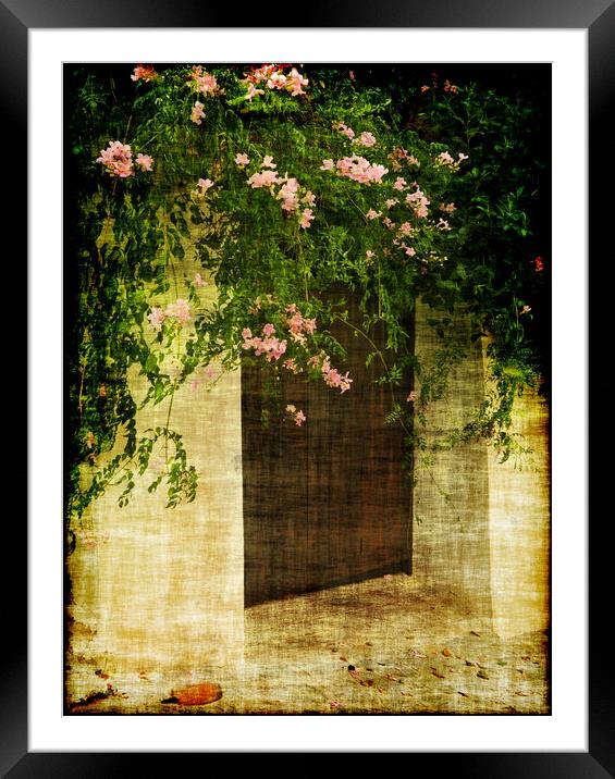 Doorways 3 Framed Mounted Print by Becky Dix