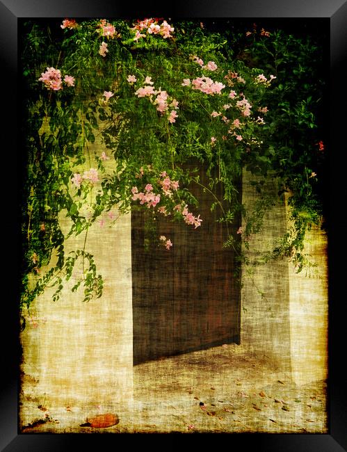 Doorways 3 Framed Print by Becky Dix