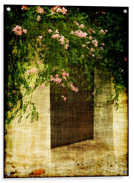 Doorways 3 Acrylic by Becky Dix